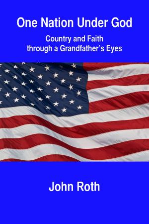 Cover of the book One Nation Under God: Country and Faith through a Grandfather's Eyes by Albin F. Irzyk, Brigadier General (ret.)
