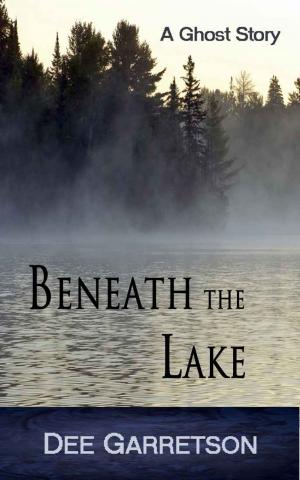 Cover of the book Beneath the Lake by Baktash Khamsehpour (Bahram Iranmand)