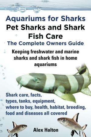 Cover of the book Aquariums for Sharks: Pet Sharks and Shark Fish Care; The Complete Owner's Guide by L H