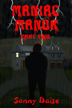 Cover of the book Maniac Manor: Part Two by H. S. Stone