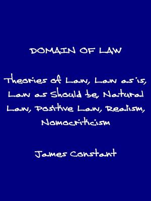 Cover of the book The Domain of Law by James Constant