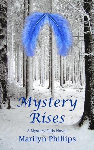 bigCover of the book Mystery Rises by 