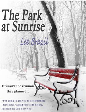 Cover of the book The Park at Sunrise by Lyla Luray