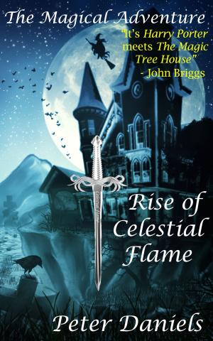 Book cover of The Magical Adventure: Rise of Celestial Flame
