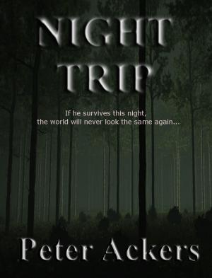 Cover of the book Night Trip by Pieter Aspe