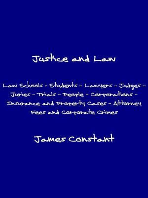 bigCover of the book Justice and Law by 