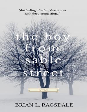 Book cover of The Boy From Sable Street