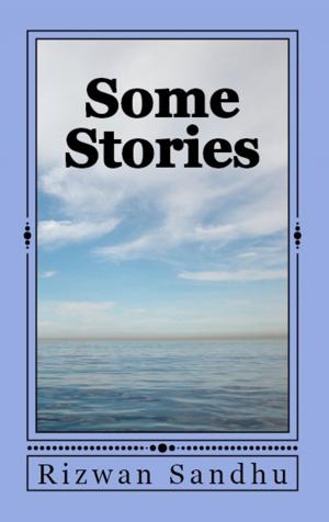 Cover of the book Some Stories by Danny Ballan
