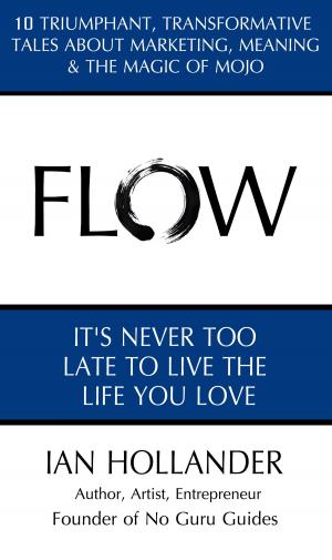 Cover of the book Flow by Dr. Adam Ferner