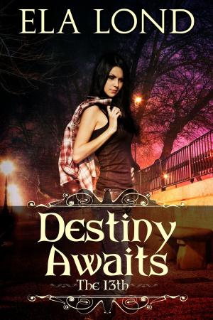 Book cover of The 13th: Destiny Awaits