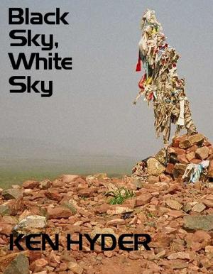 Cover of the book Black Sky, White Sky by William Wells