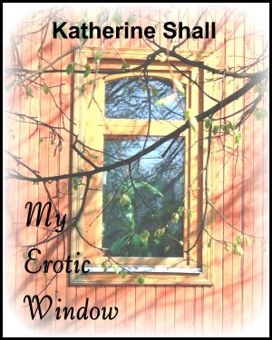 Cover of the book My Erotic Window by Mia Harris