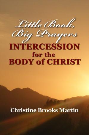 Book cover of Little Book, Big Prayers: Intercession for the Body of Christ