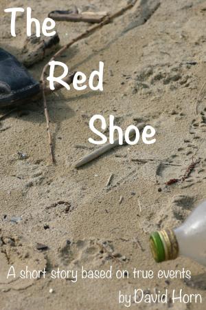 Book cover of The Red Shoe