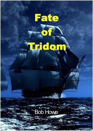 Cover of the book Fate of Tridom by Chris Wong Sick Hong