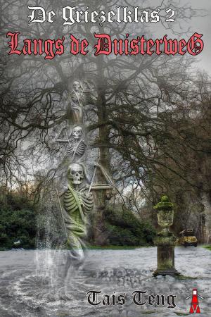 Cover of the book Langs de Duisterweg by Tais Teng