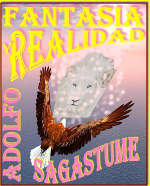 Cover of the book Fantasia y Realidad by Adolfo Sagastume