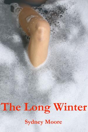 Cover of the book The Long Winter by gabriel iyere