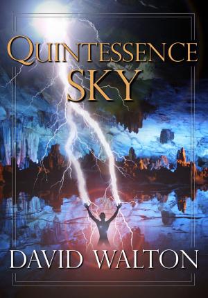 Cover of the book Quintessence Sky by Dara Fogel