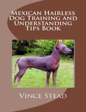 Book cover of Mexican Hairless Dog Training and Understanding Tips Book