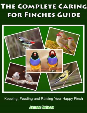 bigCover of the book The Complete Caring for Finches Guide: Keeping, Feeding and Raising Your Happy Finch by 