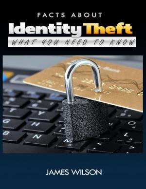 Cover of the book Facts About Identity Theft: All You Need to Know by Sean Walsh