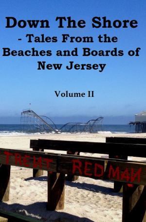 Book cover of Down the Shore: Tales From the Beaches and Boards of New Jersey Volume II