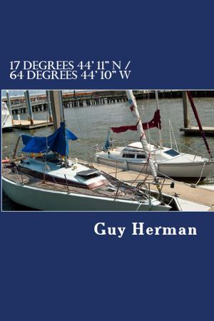 Cover of the book 17 degrees 44' 11" N / 64 degrees 44' 10" W by Jules Marriner