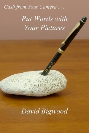 Book cover of Put Words with Your Pictures