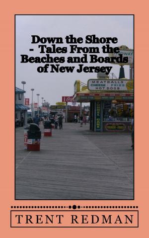 Cover of the book Down the Shore: Tales From the Beaches and Boards of New Jersey by Donald Spoto