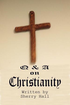 Cover of Q & A on Christianity