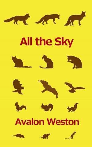 Cover of the book All the Sky by Tony Funderburk