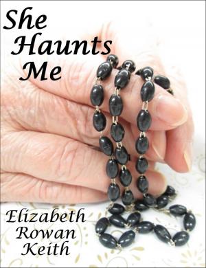 Cover of the book She Haunts Me by Elizabeth Rowan Keith