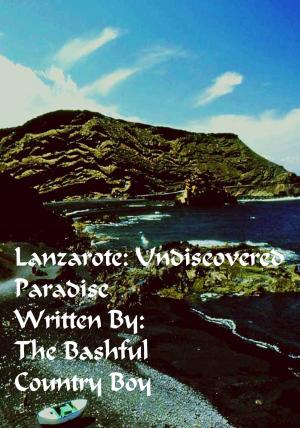 Book cover of Lanzarote Undiscovered Paradise