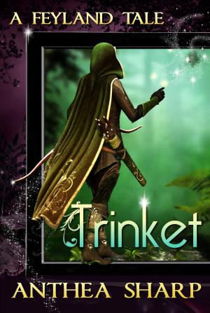 Book cover of Trinket: A Feyland Tale