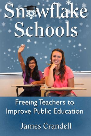 Cover of Snowflake Schools