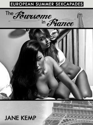 Book cover of The Foursome in France: A Public Group Sex Short