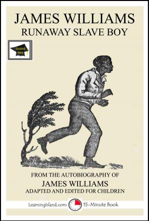 Book cover of James Williams: Runaway Slave Boy: Educational Version
