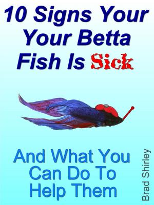 Cover of the book 10 Signs Your Betta Fish Is Sick by Lassal