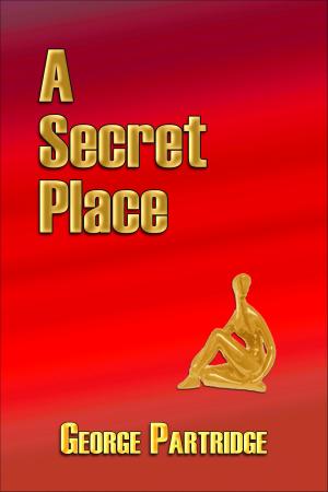 Cover of the book A Secret Place by Allen Renfro