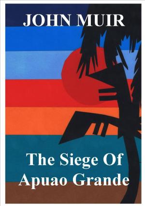 Book cover of The Siege Of Apuao Grande