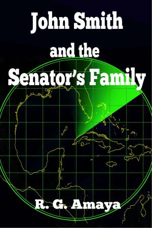 Book cover of John Smith and the Senator's Family