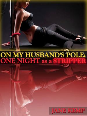 Cover of the book My Wife’s Secret Desires: On My Husband’s Pole—One Night as a Stripper (Episode Nine) by DP Backhaus