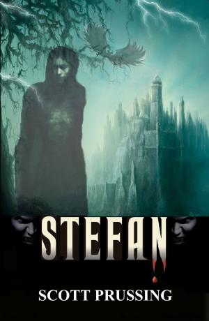 Cover of the book Stefan by J.G. Sauer