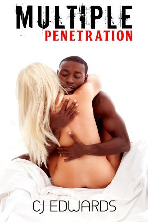 Cover of the book Multiple Penetration by Marcus Darkley