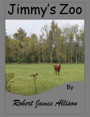 Cover of the book Jimmy's Zoo by Robert James