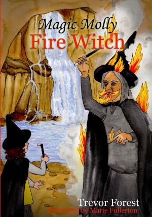 Book cover of Magic Molly The Fire Witch