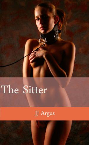 Cover of the book The Sitter by JJ Argus