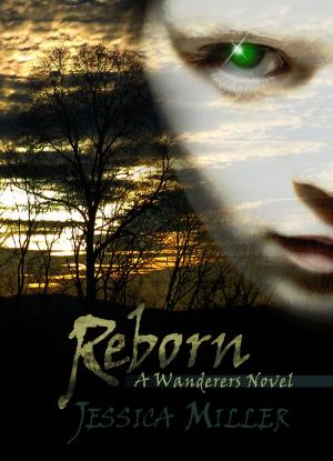 Cover of the book Reborn (Wanderers #2) by Maggie Cox