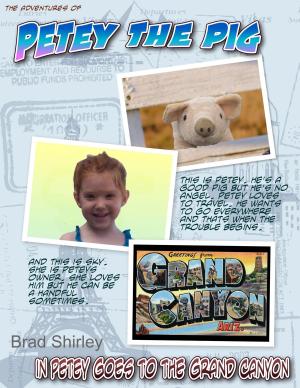 bigCover of the book Petey The Pig (In Petey Goes To The Grand Canyon) by 